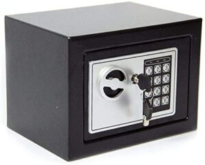 Sentinel Safe Box Sentinel Gun Safes: Fireproof Cabinets, Keyed Security & Storage Sets